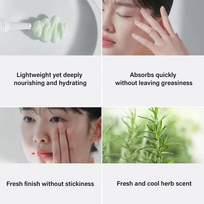 Celimax Real Noni Ultimate Eye Cream 20ml Korean Skincare